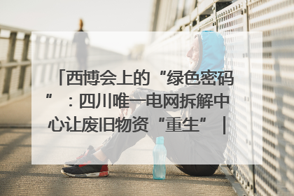 西博会上的“绿色密码”：四川唯一电网拆解中心让废旧物资“重生”｜西博寻“新”记