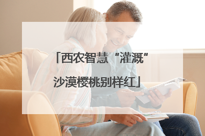 西农智慧“灌溉” 沙漠樱桃别样红