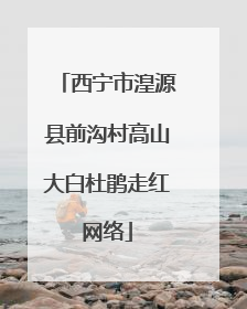 西宁市湟源县前沟村高山大白杜鹃走红网络