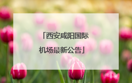 西安咸阳国际机场最新公告