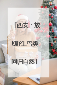 西安：放飞野生鸟类回归自然