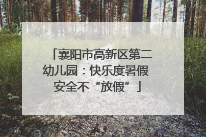 襄阳市高新区第二幼儿园：快乐度暑假 安全不“放假”