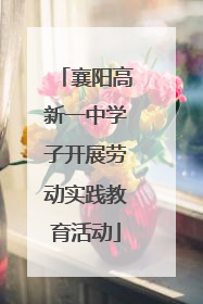 襄阳高新一中学子开展劳动实践教育活动