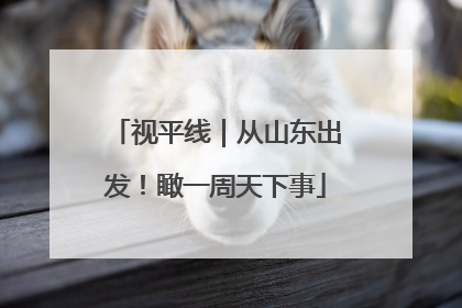 视平线｜从山东出发！瞰一周天下事