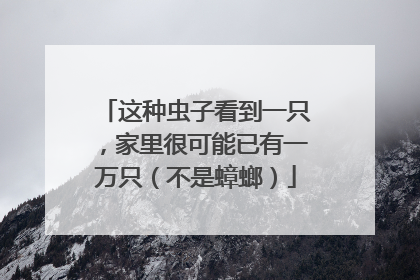 这种虫子看到一只，家里很可能已有一万只（不是蟑螂）