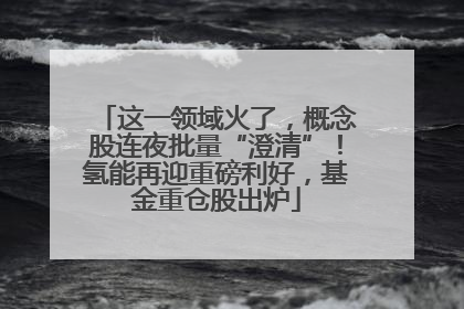 这一领域火了，概念股连夜批量“澄清”！氢能再迎重磅利好，基金重仓股出炉