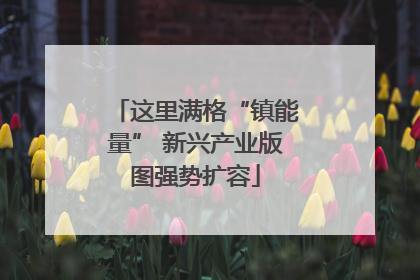 这里满格“镇能量” 新兴产业版图强势扩容