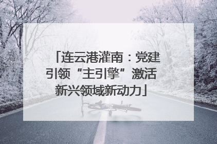 连云港灌南：党建引领“主引擎”激活新兴领域新动力