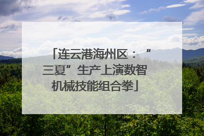 连云港海州区：“三夏”生产上演数智机械技能组合拳