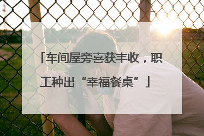 车间屋旁喜获丰收，职工种出“幸福餐桌”