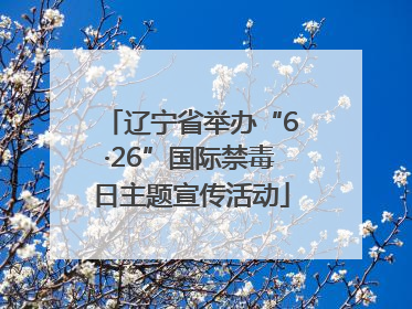 辽宁省举办“6·26”国际禁毒日主题宣传活动