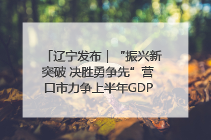 辽宁发布｜“振兴新突破 决胜勇争先”营口市力争上半年GDP增长6%左右