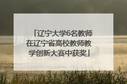 辽宁大学6名教师在辽宁省高校教师教学创新大赛中获奖