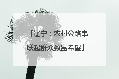 辽宁：农村公路串联起群众致富希望