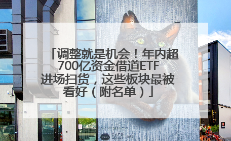 调整就是机会！年内超700亿资金借道ETF进场扫货，这些板块最被看好（附名单）