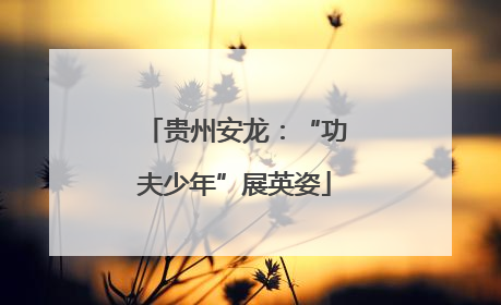贵州安龙：“功夫少年”展英姿