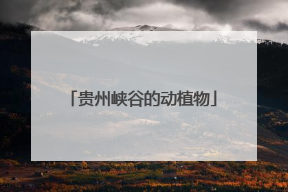 贵州峡谷的动植物