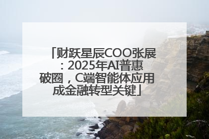 财跃星辰COO张展：2025年AI普惠破圈，C端智能体应用成金融转型关键