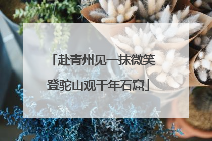 赴青州见一抹微笑 登驼山观千年石窟