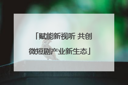 赋能新视听 共创微短剧产业新生态
