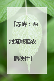 赤峰：两河流域稻农插秧忙