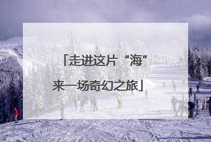 走进这片“海”来一场奇幻之旅