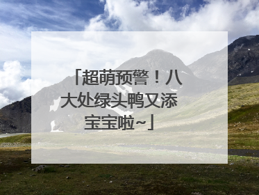 超萌预警！八大处绿头鸭又添宝宝啦~