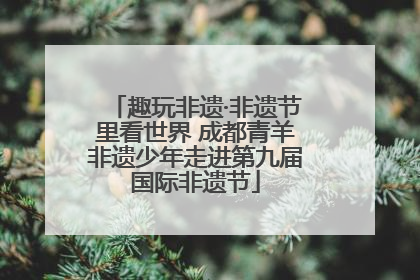 趣玩非遗·非遗节里看世界 成都青羊非遗少年走进第九届国际非遗节