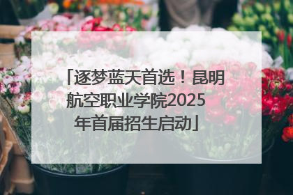 逐梦蓝天首选！昆明航空职业学院2025年首届招生启动