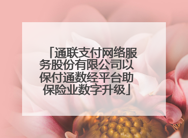 通联支付网络服务股份有限公司以保付通数经平台助保险业数字升级