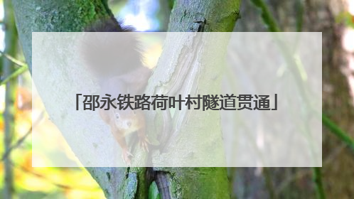 邵永铁路荷叶村隧道贯通