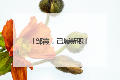 邹霞，已履新职