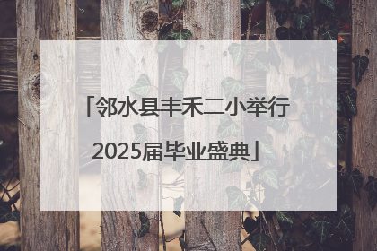 邻水县丰禾二小举行2025届毕业盛典