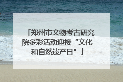郑州市文物考古研究院多彩活动迎接“文化和自然遗产日”