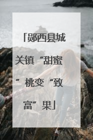 郧西县城关镇“甜蜜”桃变“致富”果