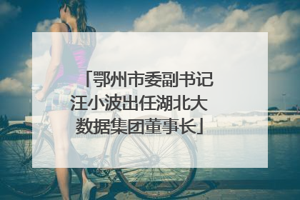 鄂州市委副书记汪小波出任湖北大数据集团董事长