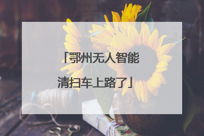 鄂州无人智能清扫车上路了
