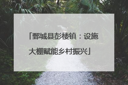 鄄城县彭楼镇：设施大棚赋能乡村振兴