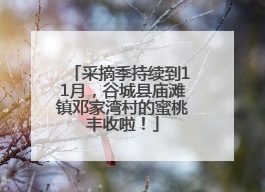 采摘季持续到11月，谷城县庙滩镇邓家湾村的蜜桃丰收啦！