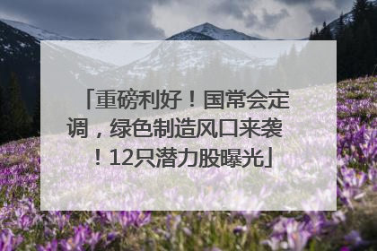 重磅利好！国常会定调，绿色制造风口来袭！12只潜力股曝光