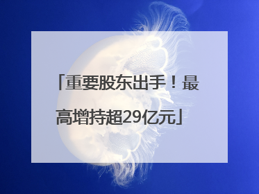 重要股东出手！最高增持超29亿元