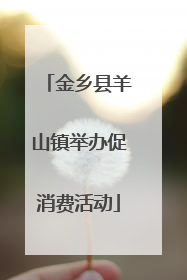 金乡县羊山镇举办促消费活动