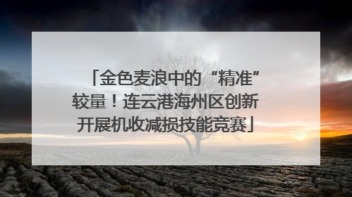 金色麦浪中的“精准”较量！连云港海州区创新开展机收减损技能竞赛