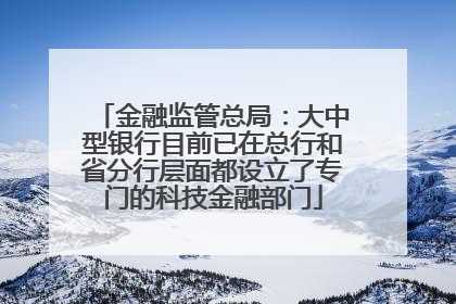 金融监管总局：大中型银行目前已在总行和省分行层面都设立了专门的科技金融部门