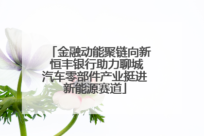 金融动能聚链向新 恒丰银行助力聊城汽车零部件产业挺进新能源赛道
