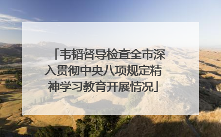 韦韬督导检查全市深入贯彻中央八项规定精神学习教育开展情况