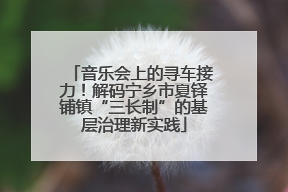 音乐会上的寻车接力！解码宁乡市夏铎铺镇“三长制”的基层治理新实践
