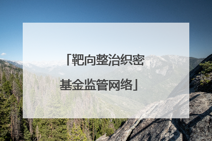 靶向整治织密基金监管网络