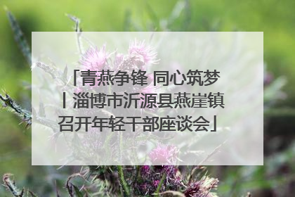 青燕争锋 同心筑梦丨淄博市沂源县燕崖镇召开年轻干部座谈会