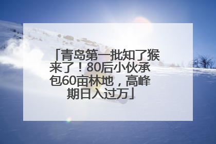 青岛第一批知了猴来了！80后小伙承包60亩林地，高峰期日入过万